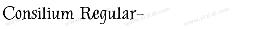 Consilium Regular字体转换